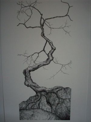 Tree on Rock Pen & Ink Print